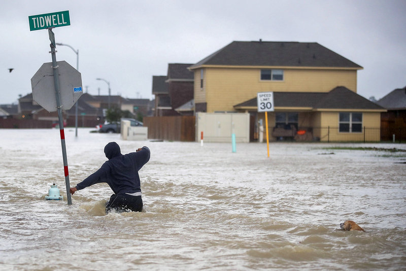 Hurricane Damage Claims Adjuster in Florida