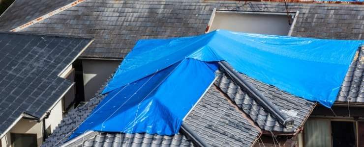 Does homeowners insurance cover roof leaks.