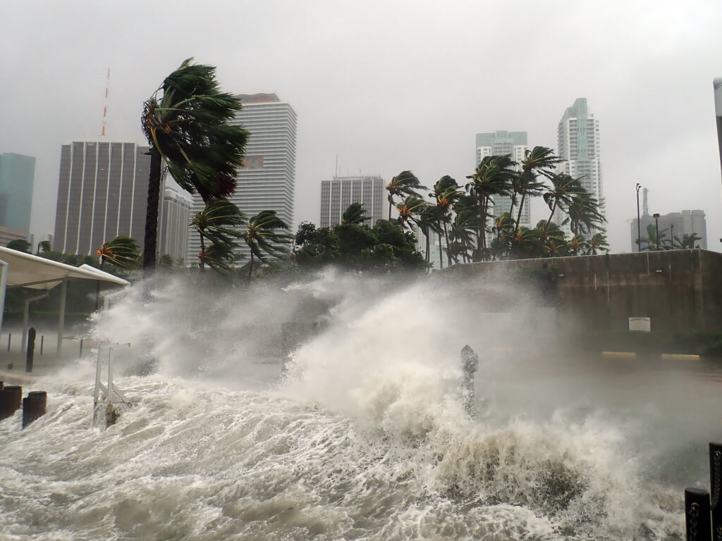 Flood Damage Public Insurance Adjuster in Florida