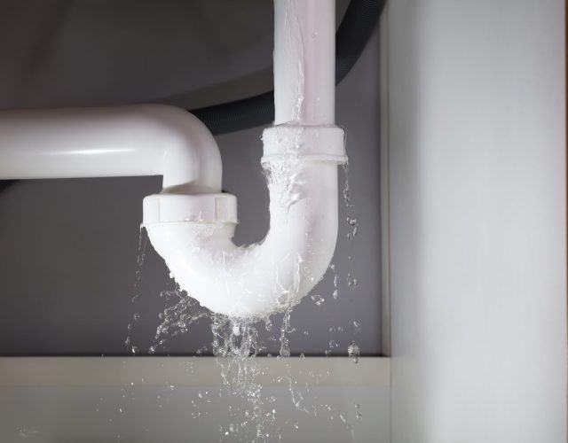 Water Damage Under Sink