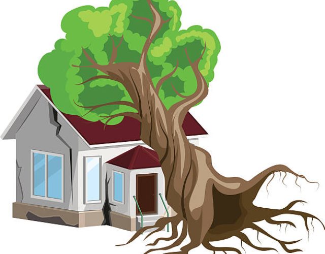 House destroyed. Tree fell on house. Cracks in walls of home. Property insurance. Isolated on white vector illustration
