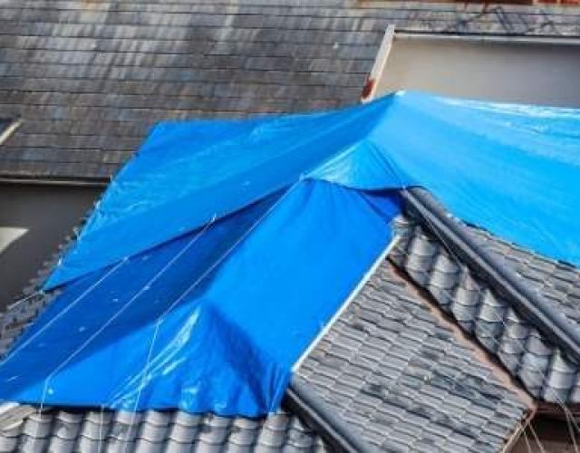 Insurance denied roof claim